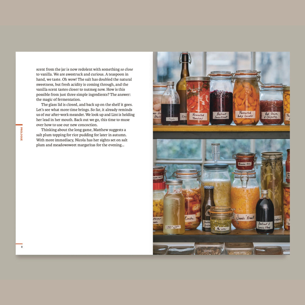 Do Ferment, Guide To Making Kimchi, Kefir and More Book