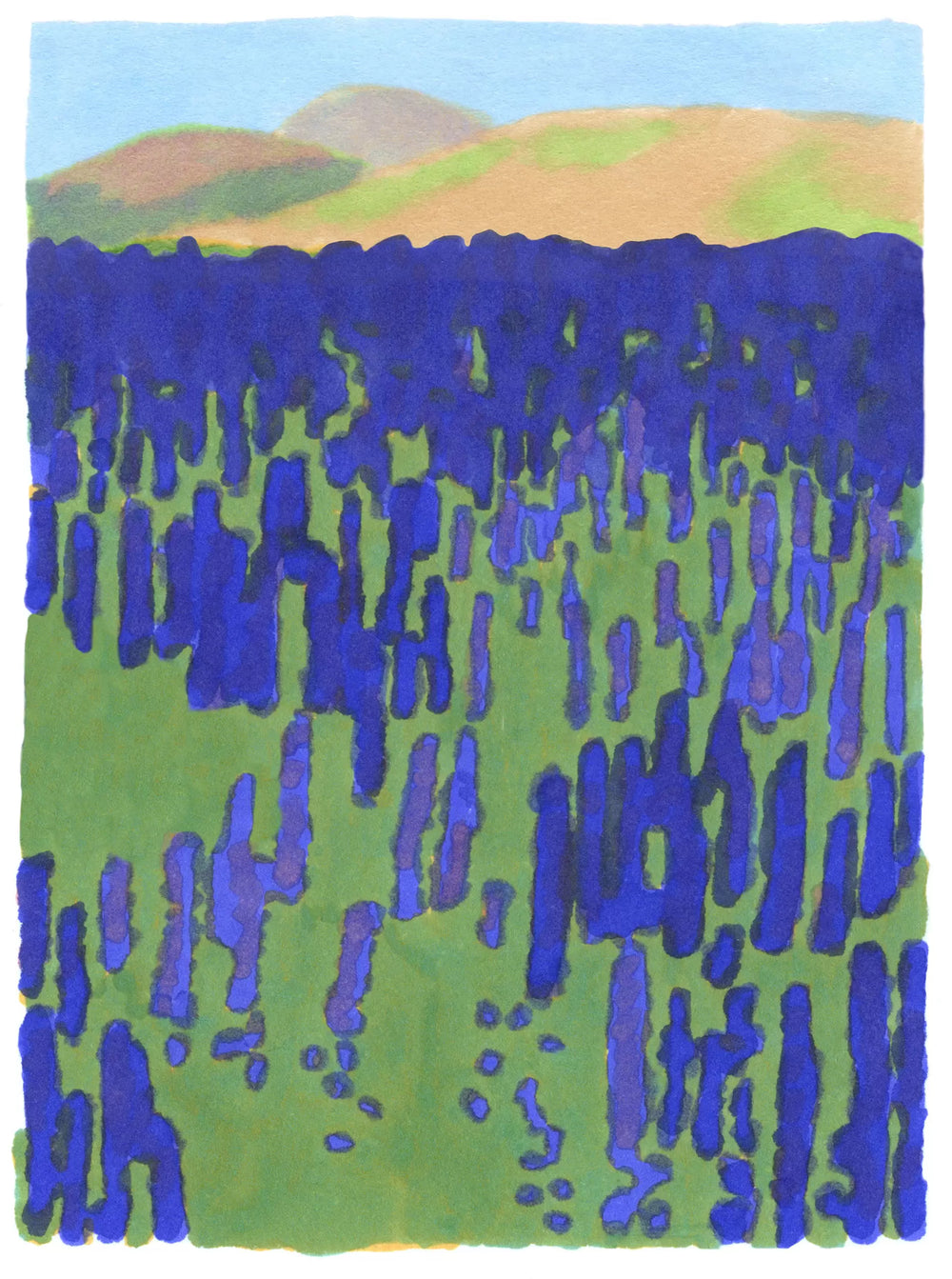 Deukes Raw Monofloral Sage Honey - 250ml