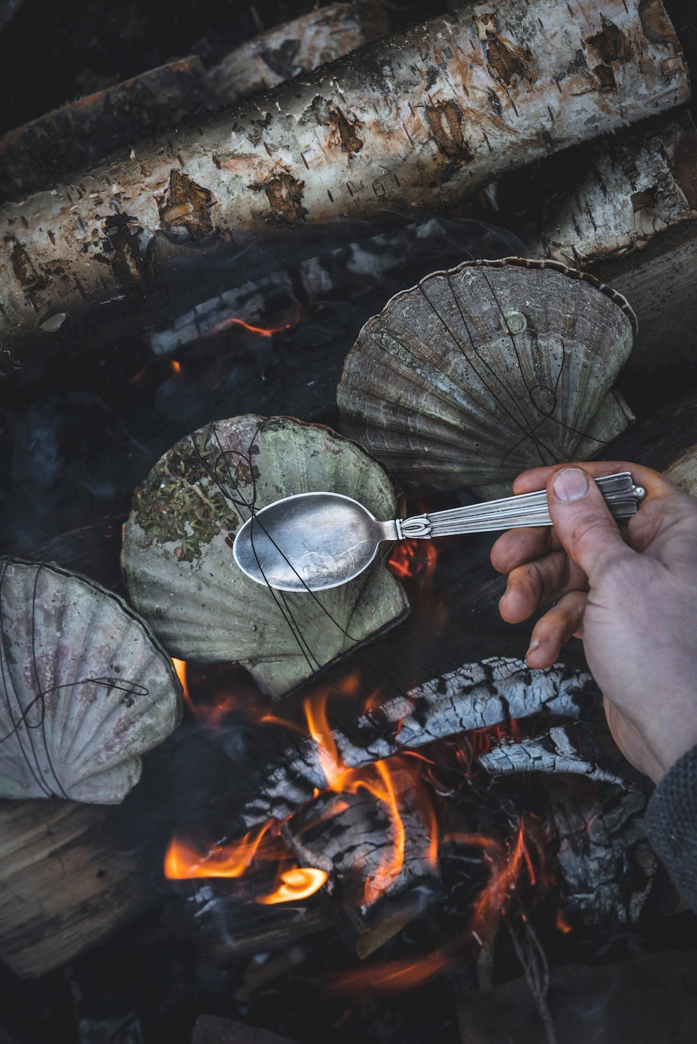 gestalten Cooking On Fire Cookbook