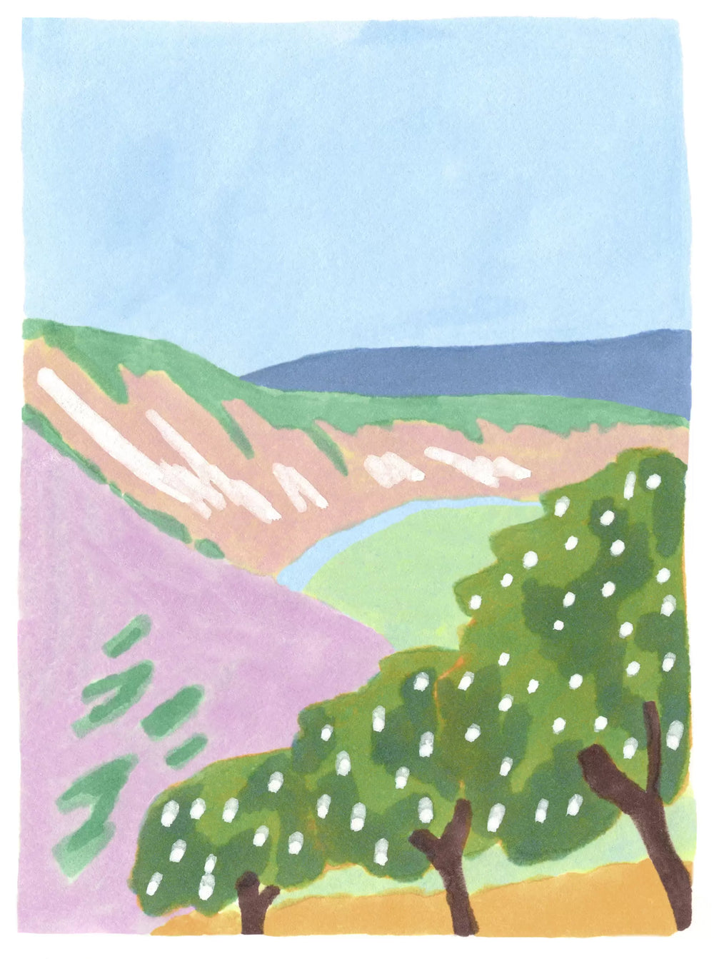 Deukes Raw Monofloral Acacia Honey - 250ml