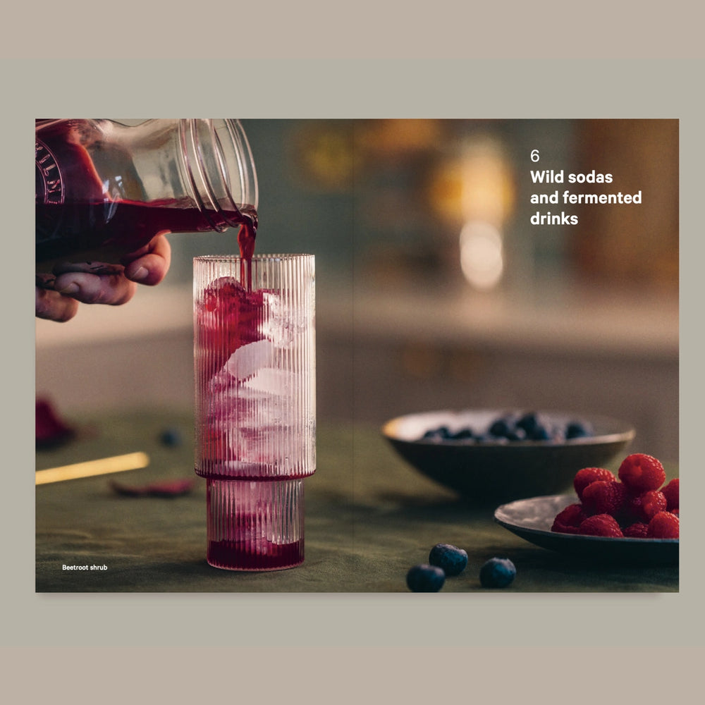 Do Ferment, Guide To Making Kimchi, Kefir and More Book