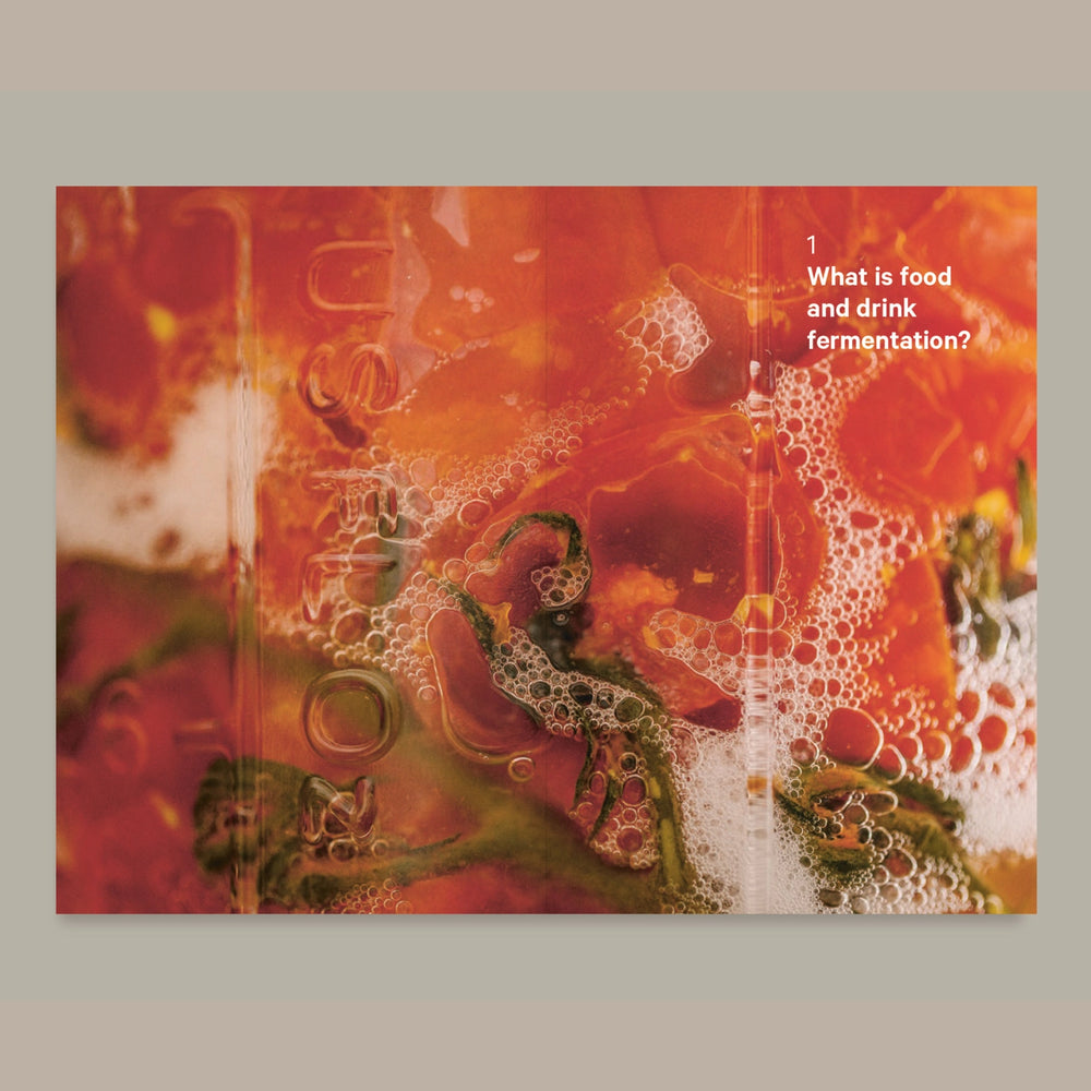 Do Ferment, Guide To Making Kimchi, Kefir and More Book