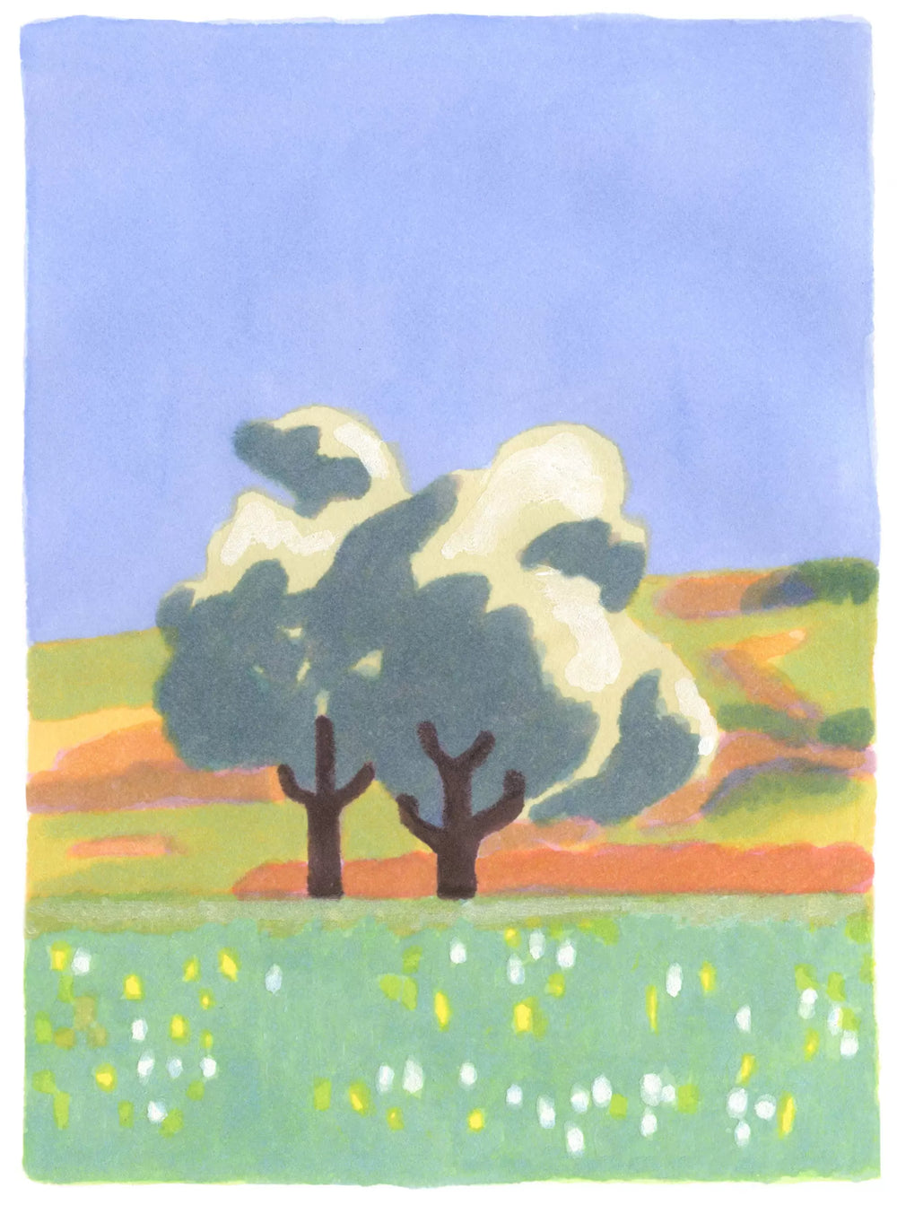 Deukes Raw Monofloral Linden Honey - 250ml