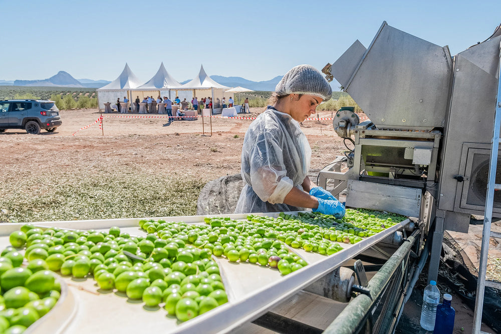 Citizens of Soil Organic Spanish Extra Virgin Olive Oil - 500ml Glass Bottle