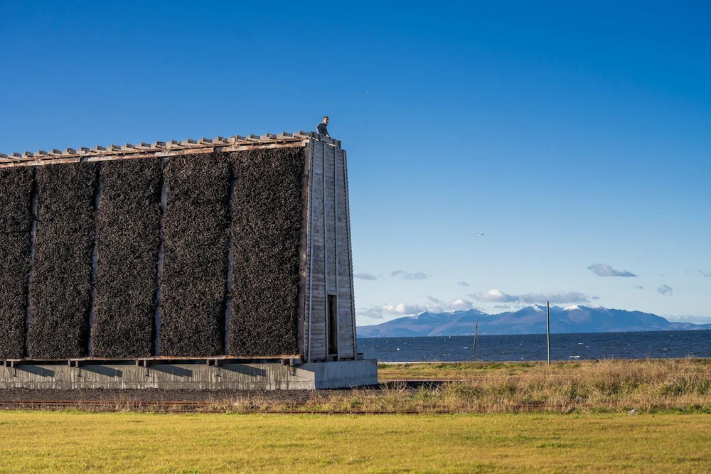 Ocelot Organic 70% Dark Chocolate Sea Salt Chocolate Bar - 70g