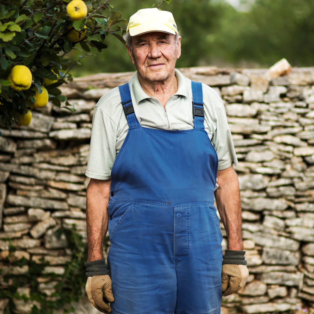 Citizens of Soil Croatian Extra Rare Virgin Olive Oil - 500ml Glass Bottle