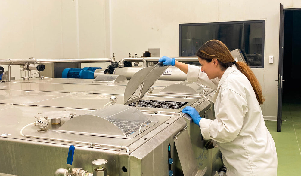 Citizens of Soil Organic Greek Extra Virgin Olive Oil - 500ml Glass Bottle