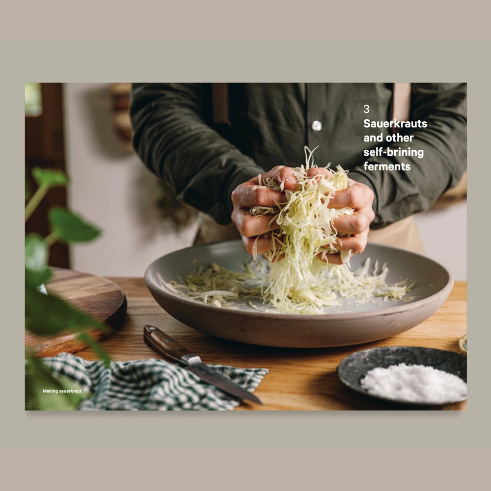 Do Ferment, Guide To Making Kimchi, Kefir and More Book