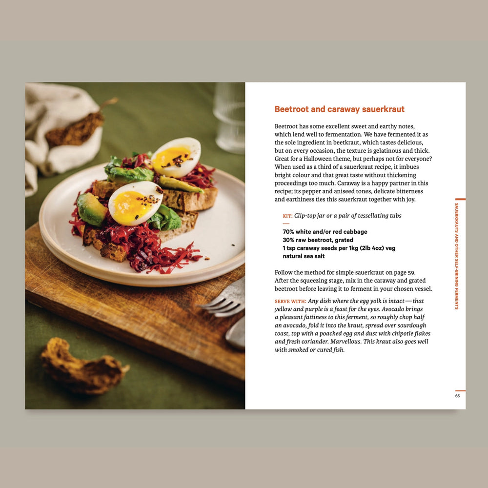 Do Ferment, Guide To Making Kimchi, Kefir and More Book