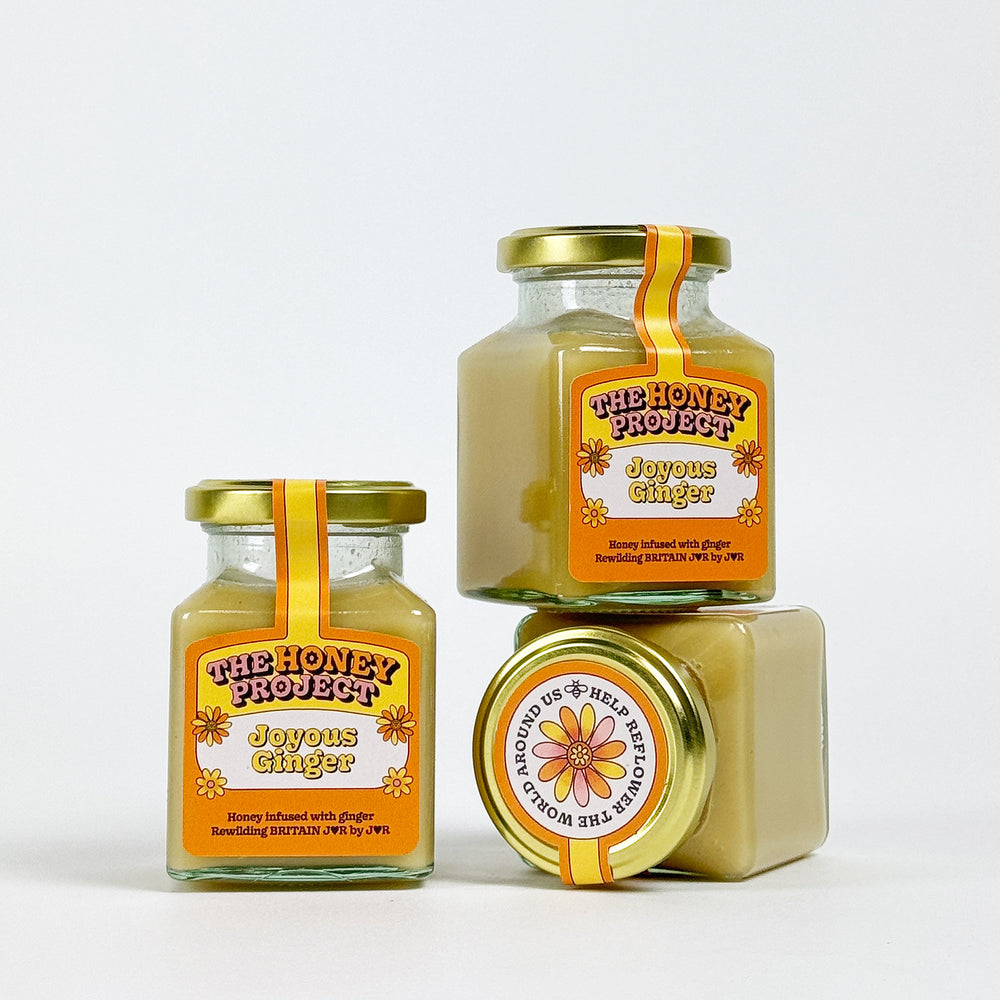 The Honey Project Joyous Ginger British Honey - 227g
